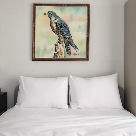 Haus Pera Apartman Isztambul